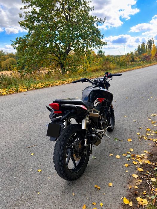 geon pantera 250