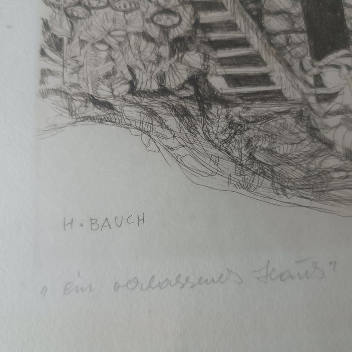 Grafika H. Bauch