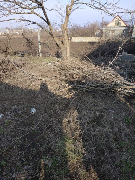Велика Балка, цетр, коробка з літньою кухнею та погрібом на 21 сотках