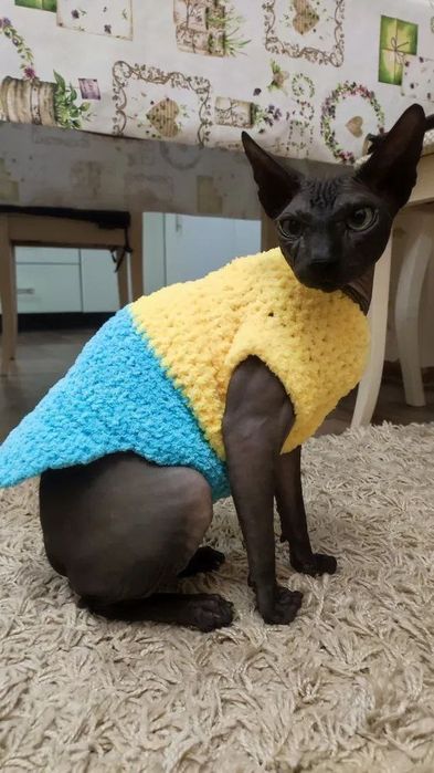 Плюшевая одежда,  свитера для котов, кошек, котят, собак, сфинксов