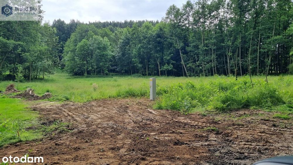 Działka budowlana 1000m² las, góry