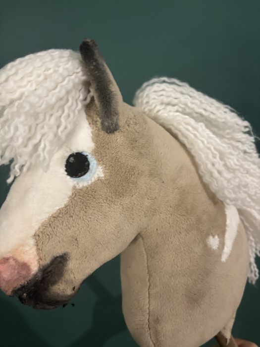 Hobby horse z odmianami