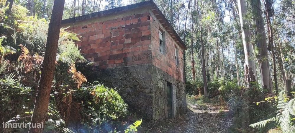 Terreno  para venda