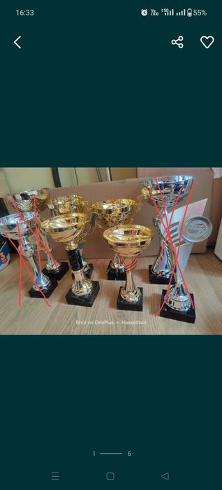 Złote puchary zwycięzcy