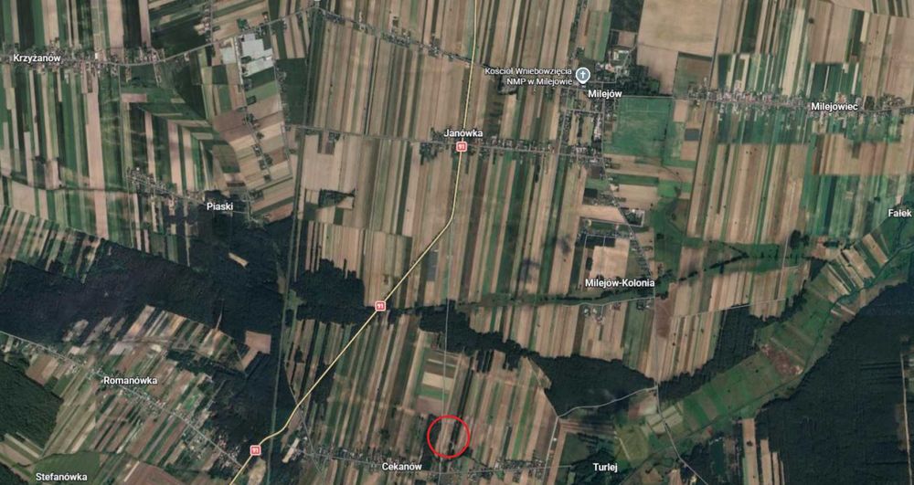 działki budowlane działka budowlana niedaleko Piotrków Trybunalski - Cekanów Rozprza warunki zabudowy - Widok 4