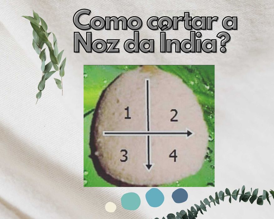 Noz da Índia - Emagrecimento saudável