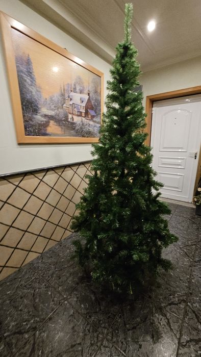 Árvore de natal nova