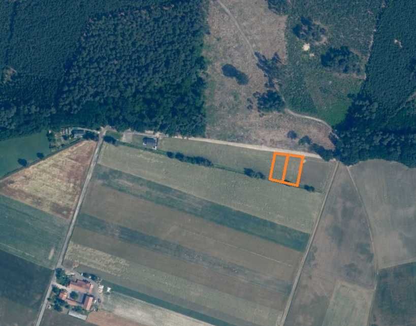 Działki budowlane pod lasem Jezierzyce Kościelne 900 m² i 964 m² - Widok 5