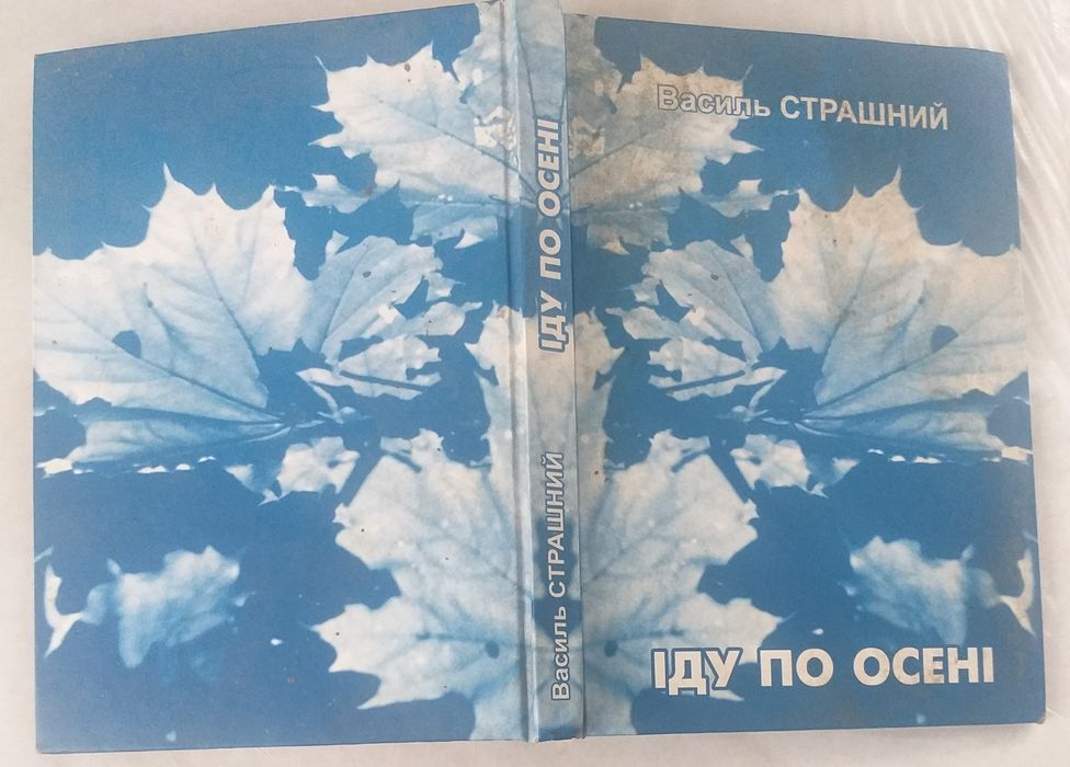 Іду по осені. Василь Страшний