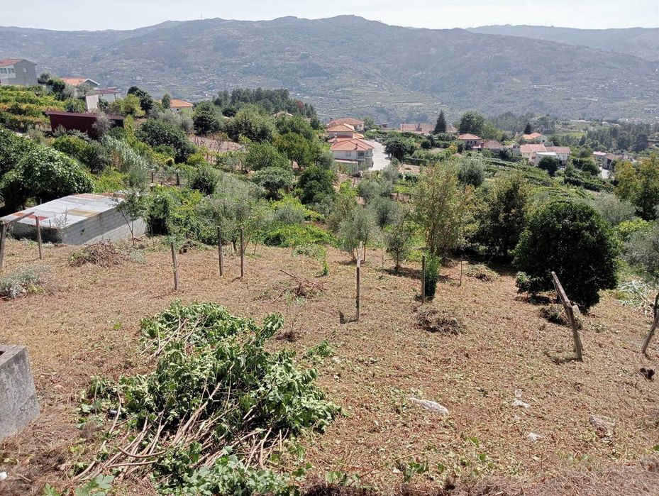 Terreno em Enxames, Santa Cruz do Douro