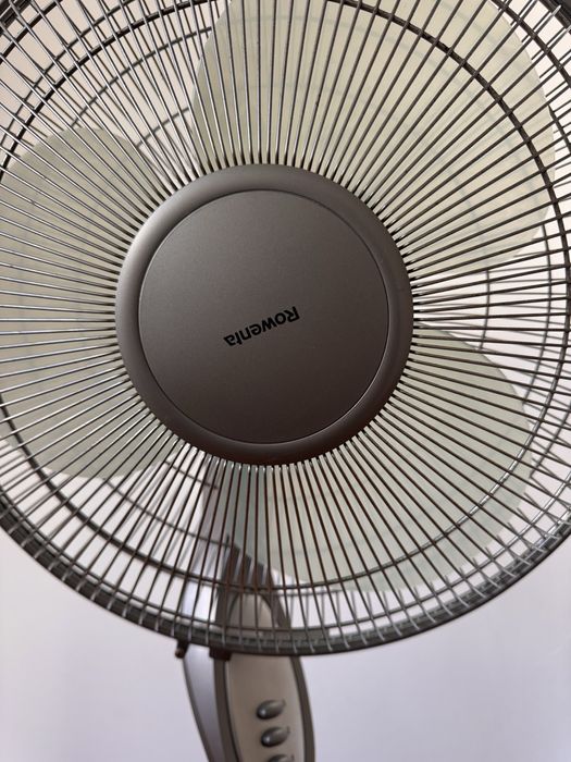 Ventoinha de pé Rowenta cinzenta