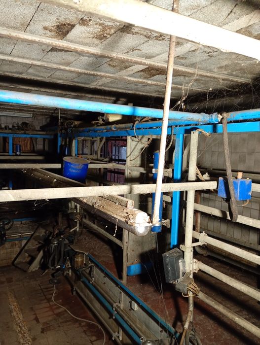 Hala udojowa auto tandem alfa laval 2×2