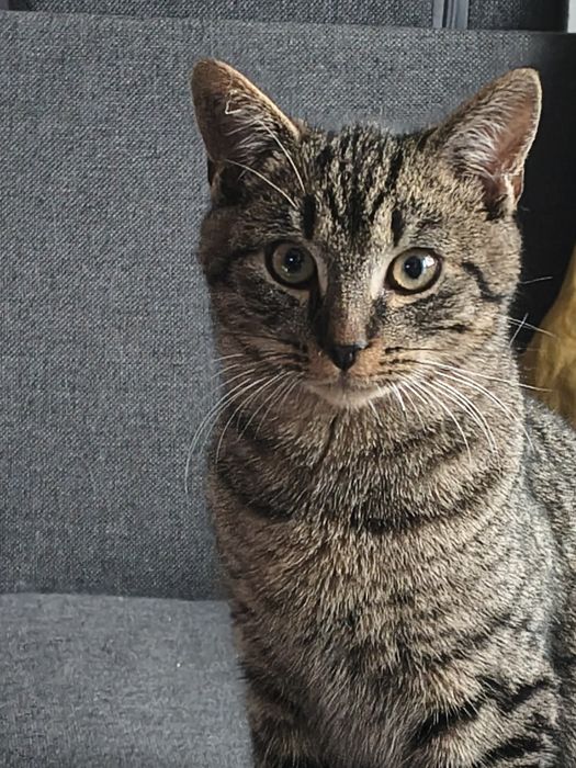 Pokotaj malucha lub oba na raz