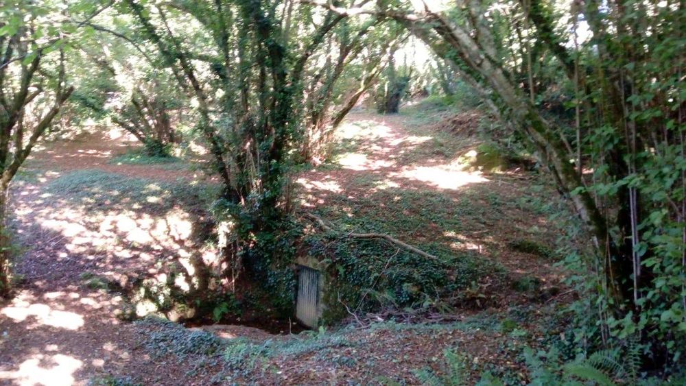 Quinta da Póvoa da Medronhosa, Repeses e São Salvador, Viseu