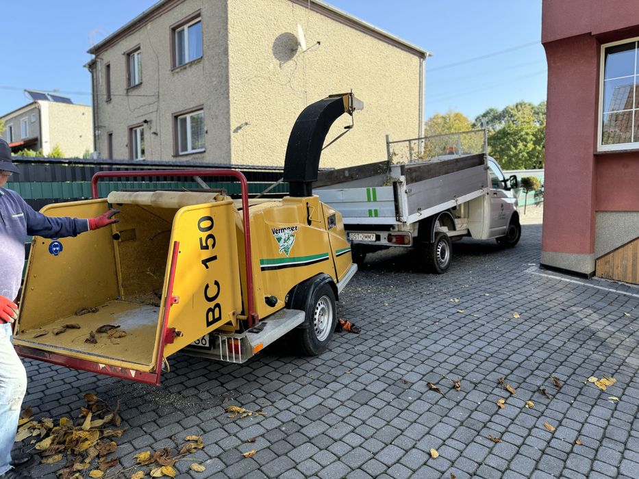 Wycinka drzew, krzaków, podcinanie drzew z podnośnika