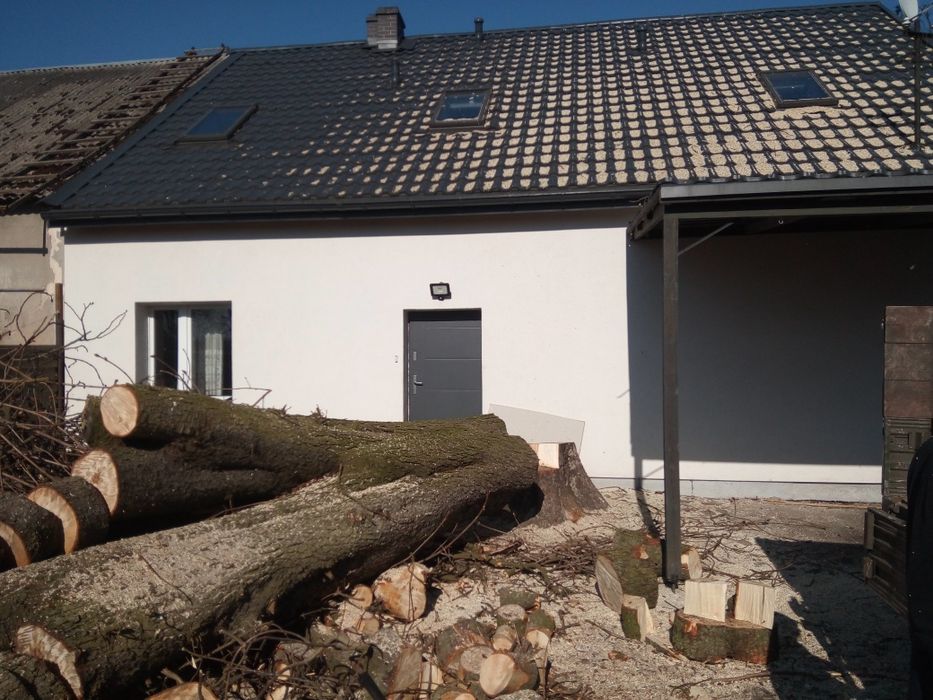 Wycinka drzew i krzewów
