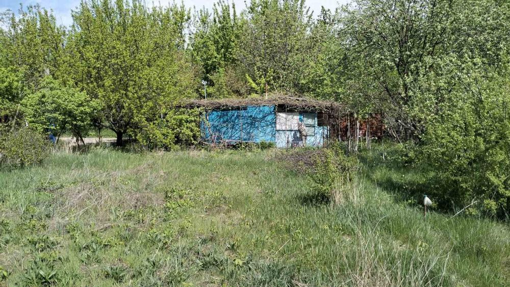 Продам реальний дачний уч-к, Передмістя, Миколаївка(Приват+кадастр)