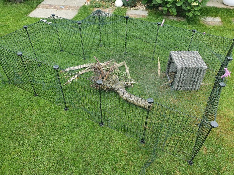 Wolny wybieg dla zwierząt, świnki szczura chomika psa kota