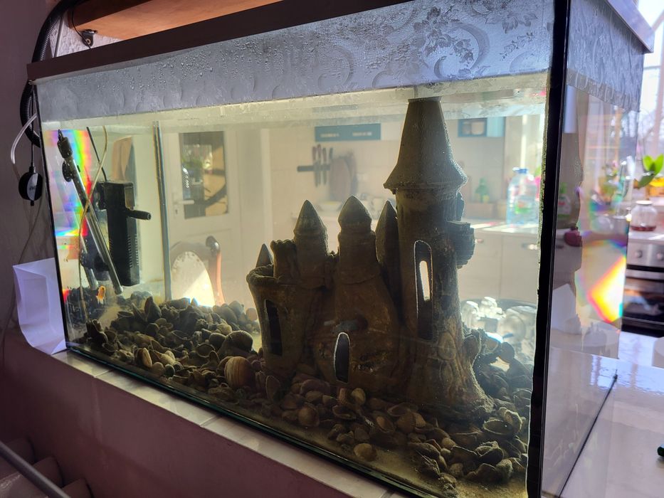 Акваріум 100 літрів