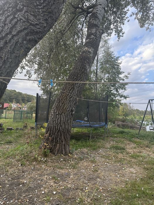 Терміновий продаж земельної ділянки 1 лінія річки Снов