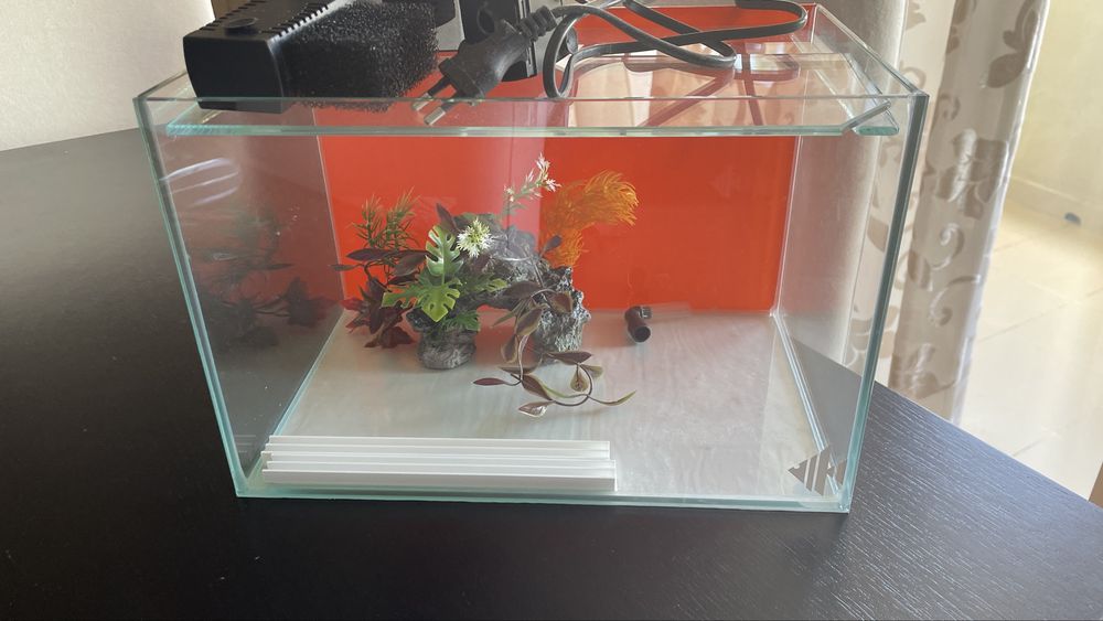 Aquario com filtro incluido