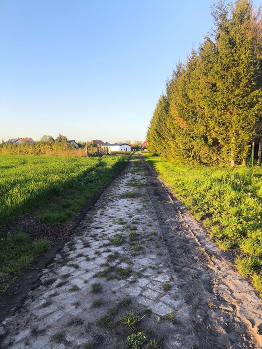 Działka z planem zagospodarowania zagrodowa