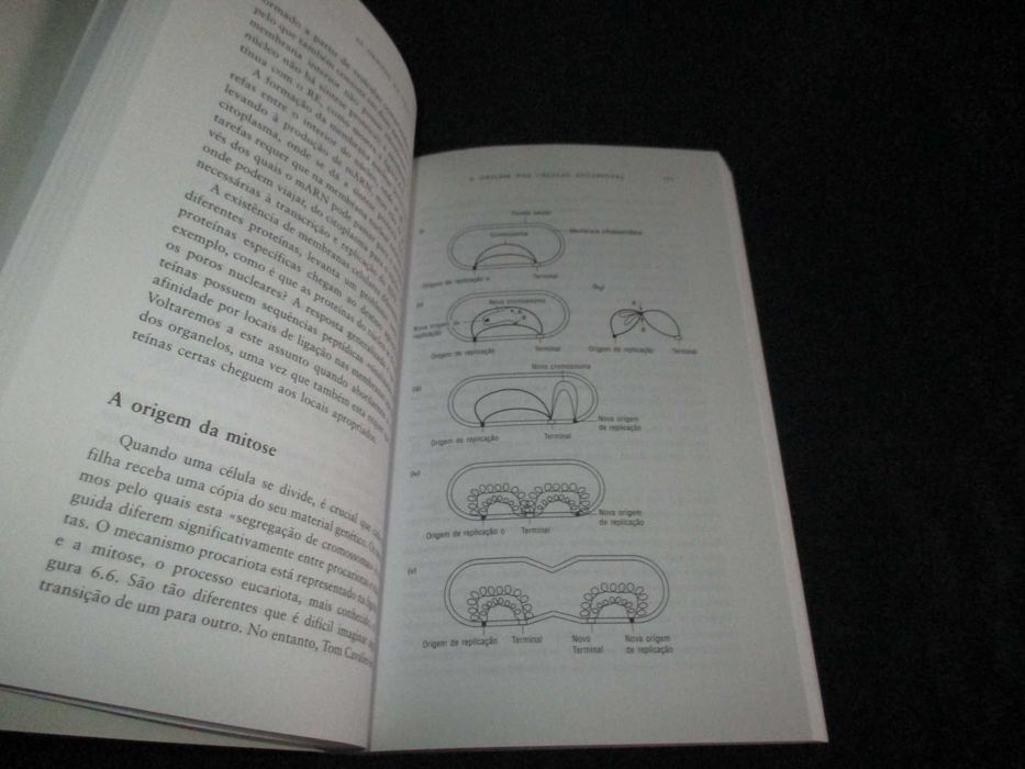 Livro As Origens da Vida John Maynard Smith Eös Szathmary