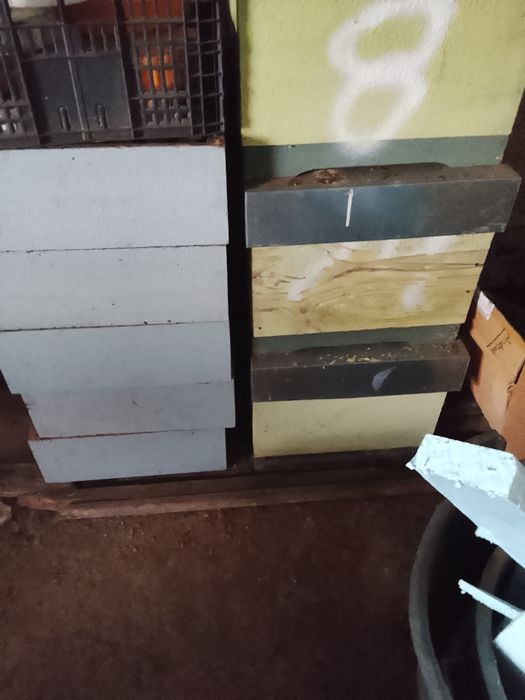 Vendo lusitanas e Lanhstrot