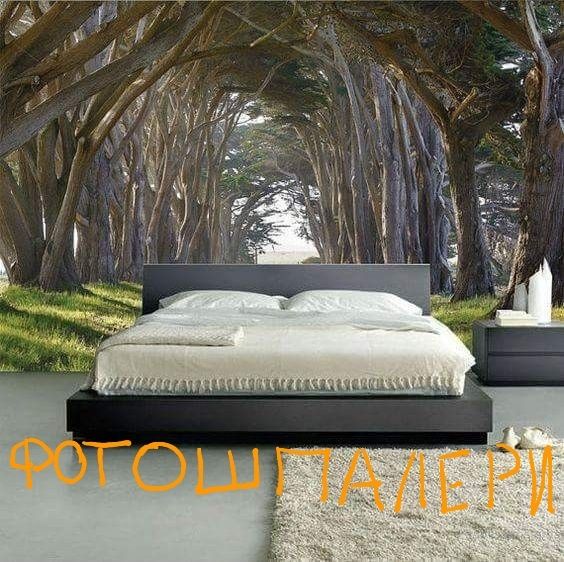 Шпалери обои не дорого, фотошпалери.