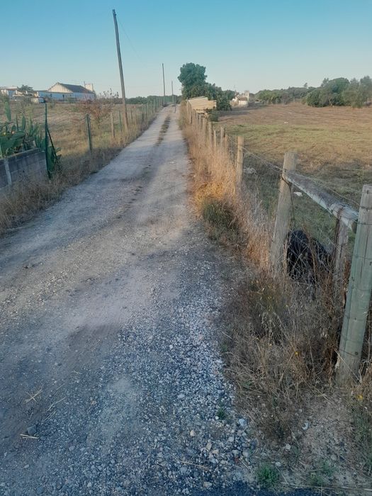 Arrendamento lotes terra