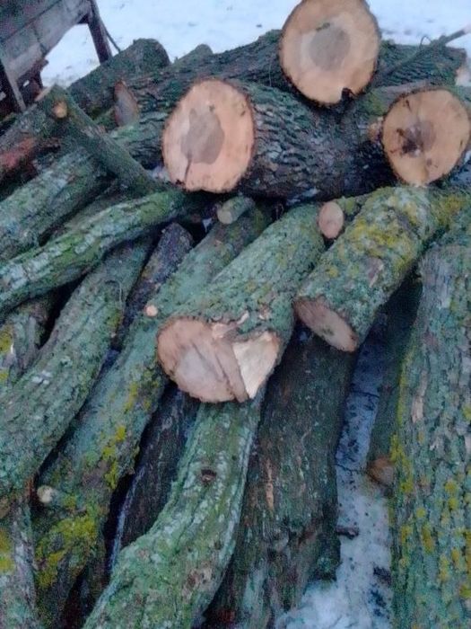 Продам пиилку прокрафт 48лі  також дрова