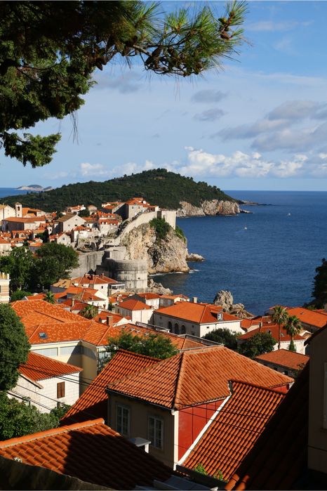 Canon 70d body lustrzanka