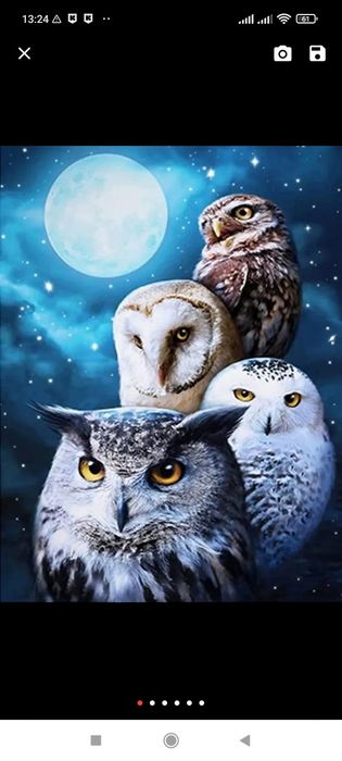 Алмазна мозаїка вишивка 30х40"Сови"