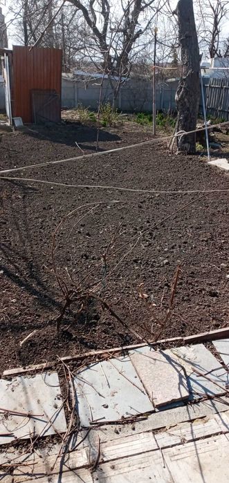 Будинок за адресою Люстдорфська дор. (площа 70 м²) - Atlanta.ua - фото 5