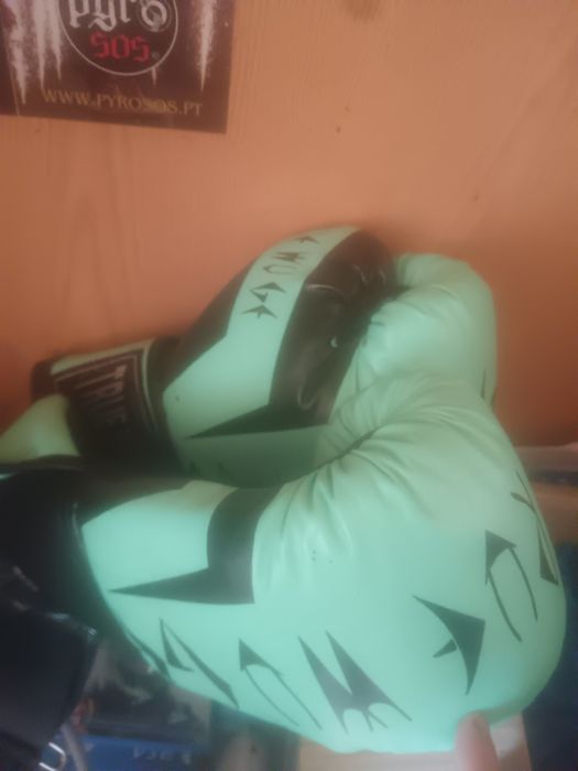 Saco de box + luvas xxl 100€