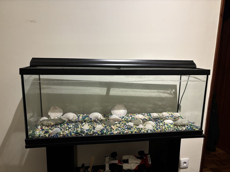 Aquário grande e completo em otimo estado