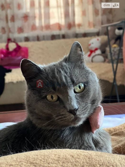 2-кім у новобудові Вінниця!