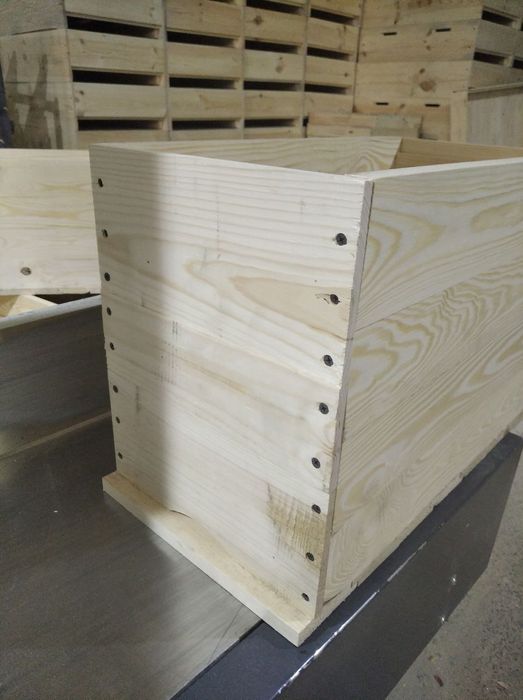 Вулик для бджіл,роєвня Дадан