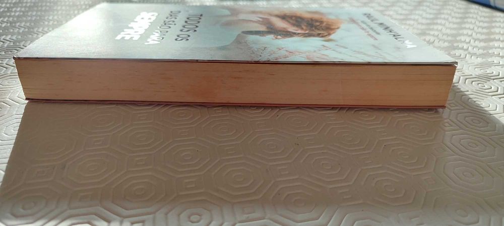 Todos os Dias são para Sempre de Raul Minh'alma - Livro