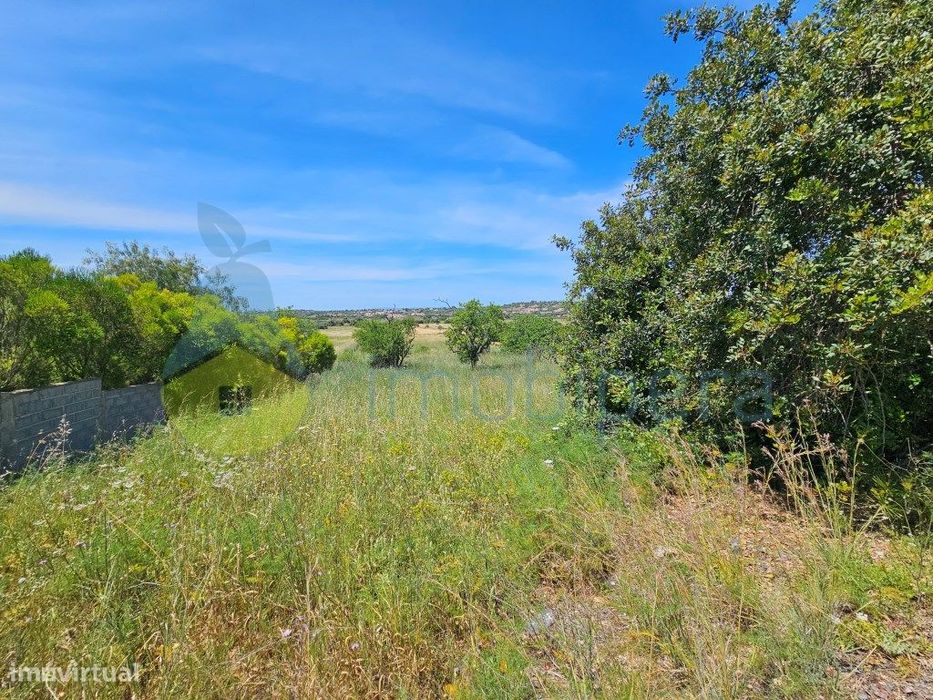 Terreno em zona rural, para agricultura e afins. Acesso alcatroado... — Alcantarilha E Pêra, Faro