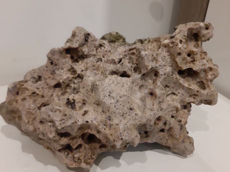 Skała  do akwarium duża