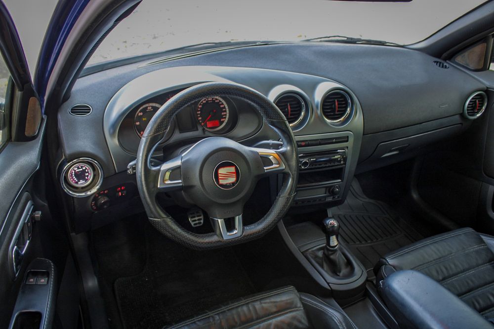 Seat Ibiza 6L PD 3xx