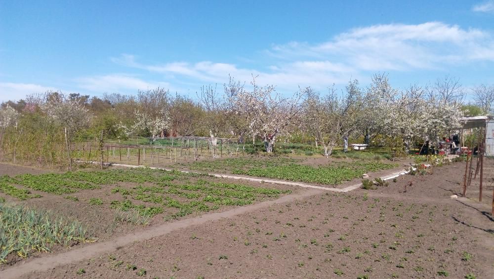 Продам Дачу Каневское 20 соток