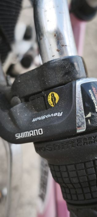 Bicicleta de Senhora Jumper Trek