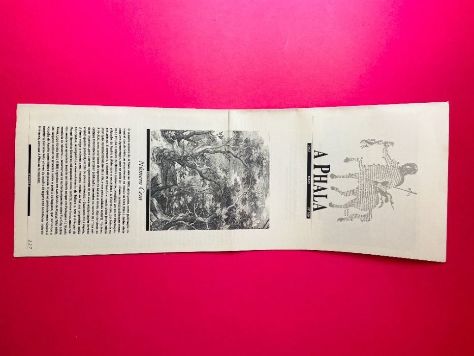 A Phala Nº100, Ano 2003