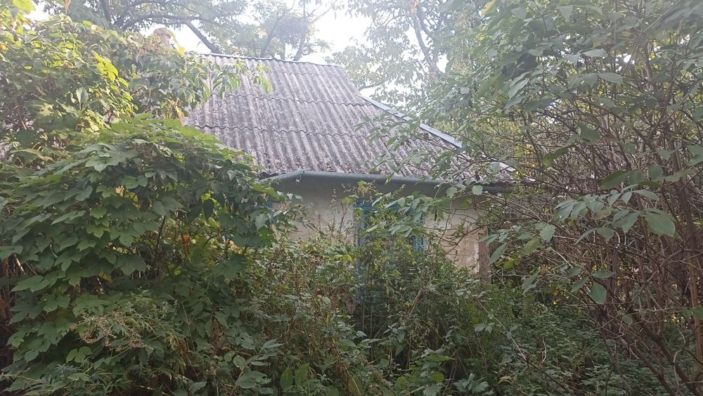 Витачів! 18.4 сот РІВНОЇ землі (АСФАЛЬТ). Будинок, Електрика, 5 хв до