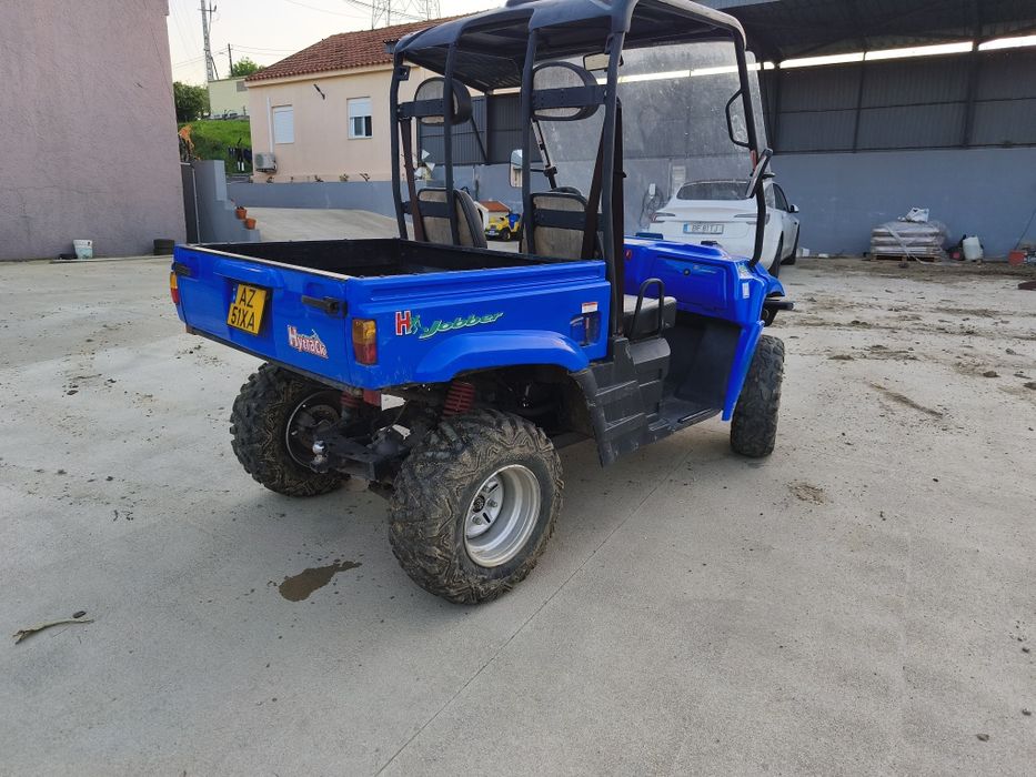 Buggy / UTV / utilitário / carrinho/ hytrack