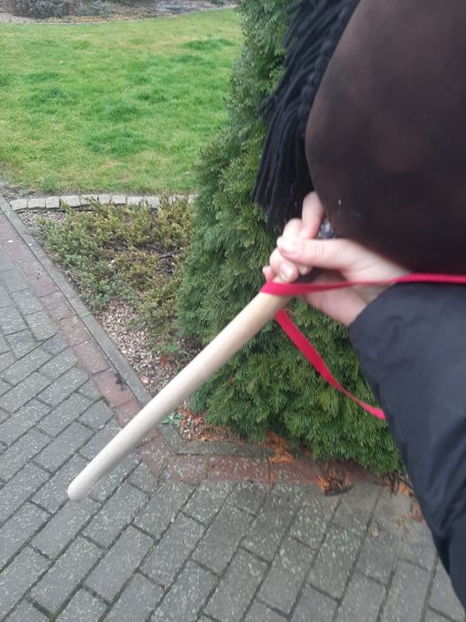 Hobby Horse Gniady