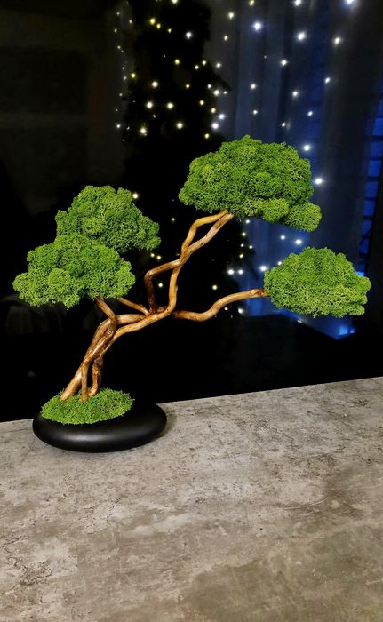 Drzewko bonsai z mchem chrobotkiem fińskim. Prezent. Dekoracje wnętrz