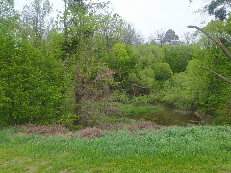 Продаж Земельної ділянки с. Перлявка